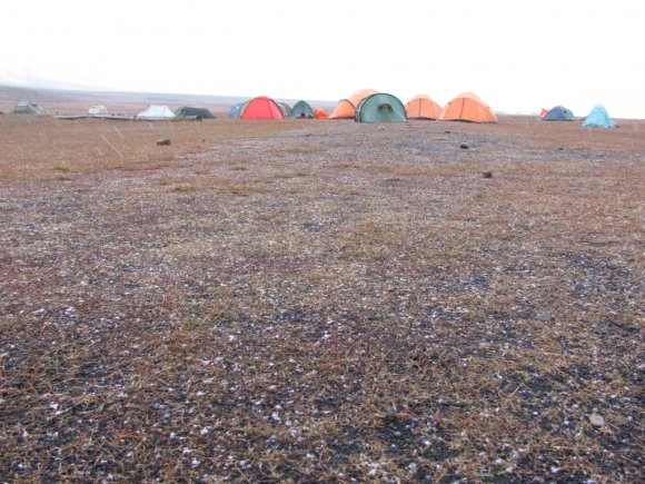 Der erste Schnee auf dem Campingplatz läutet den Winter ein Der erste Schnee auf dem Campingplatz läutet den Winter ein