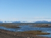 Ausblick über den Isfjord