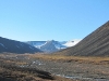 Das Bjørndalen