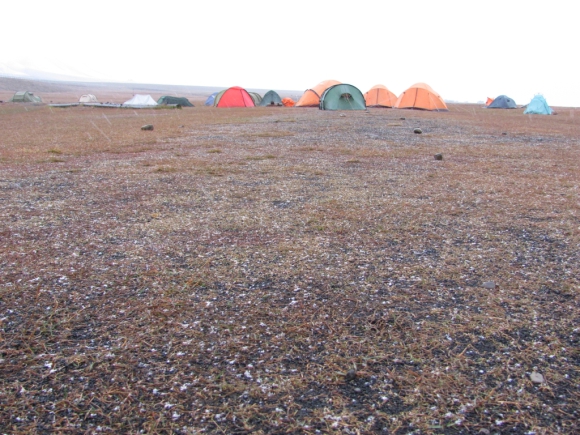 Der erste Schnee auf dem Campingplatz läutet den Winter ein