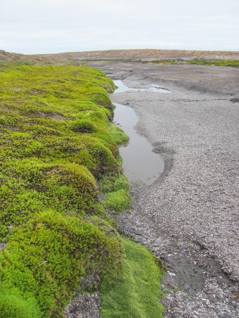 Glück gehabt - bei dem Wasserstand kommen wir einfach ans andere Ufer