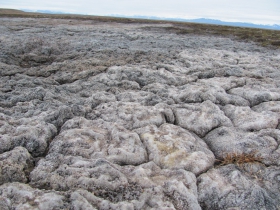 Ausgetrockneter Tundra-Boden
