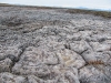 Ausgetrockneter Tundra-Boden