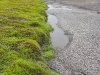 Glück gehabt - bei dem Wasserstand kommen wir einfach ans andere Ufer