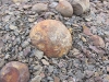 Kurz vor dem Strand finden wir ein Bachbett voll mit nahezu perfekt geformten Steinkugeln