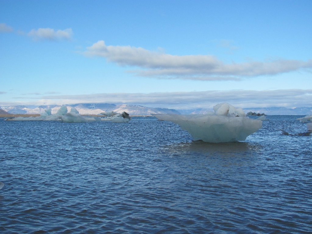 Die schwimmenden Eisschollen sind teilweise sehr groß