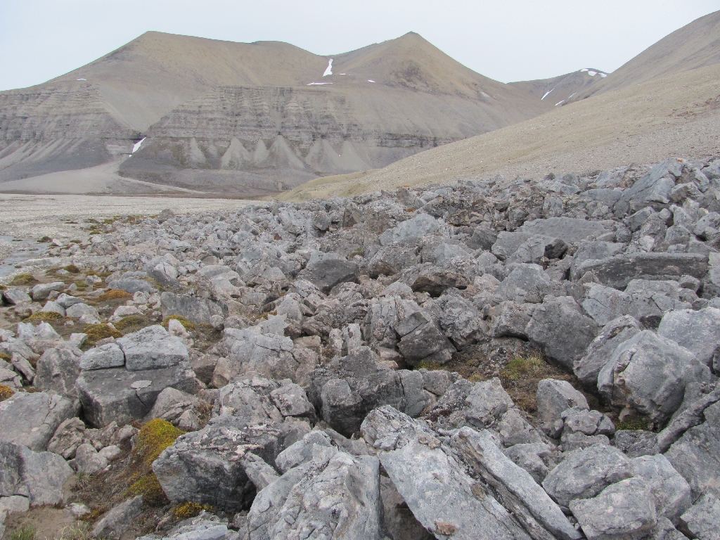 Überall auf dem Weg von Lyckholmdalen nach Pyramiden liegen Steine