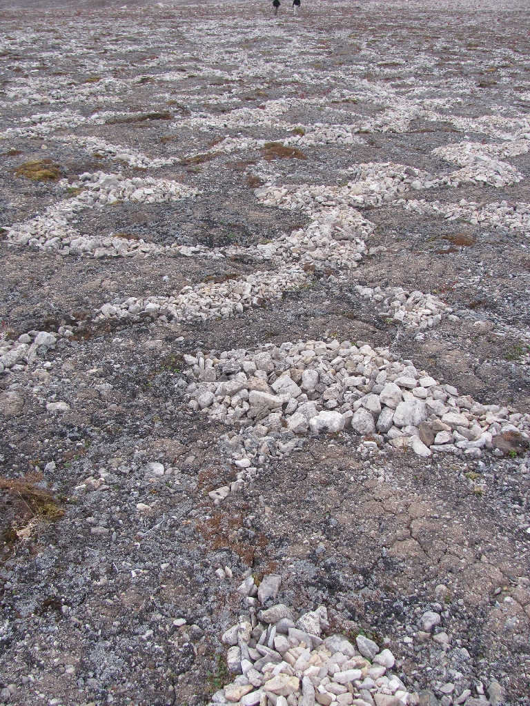 Steinkreise auf Spitzbergen